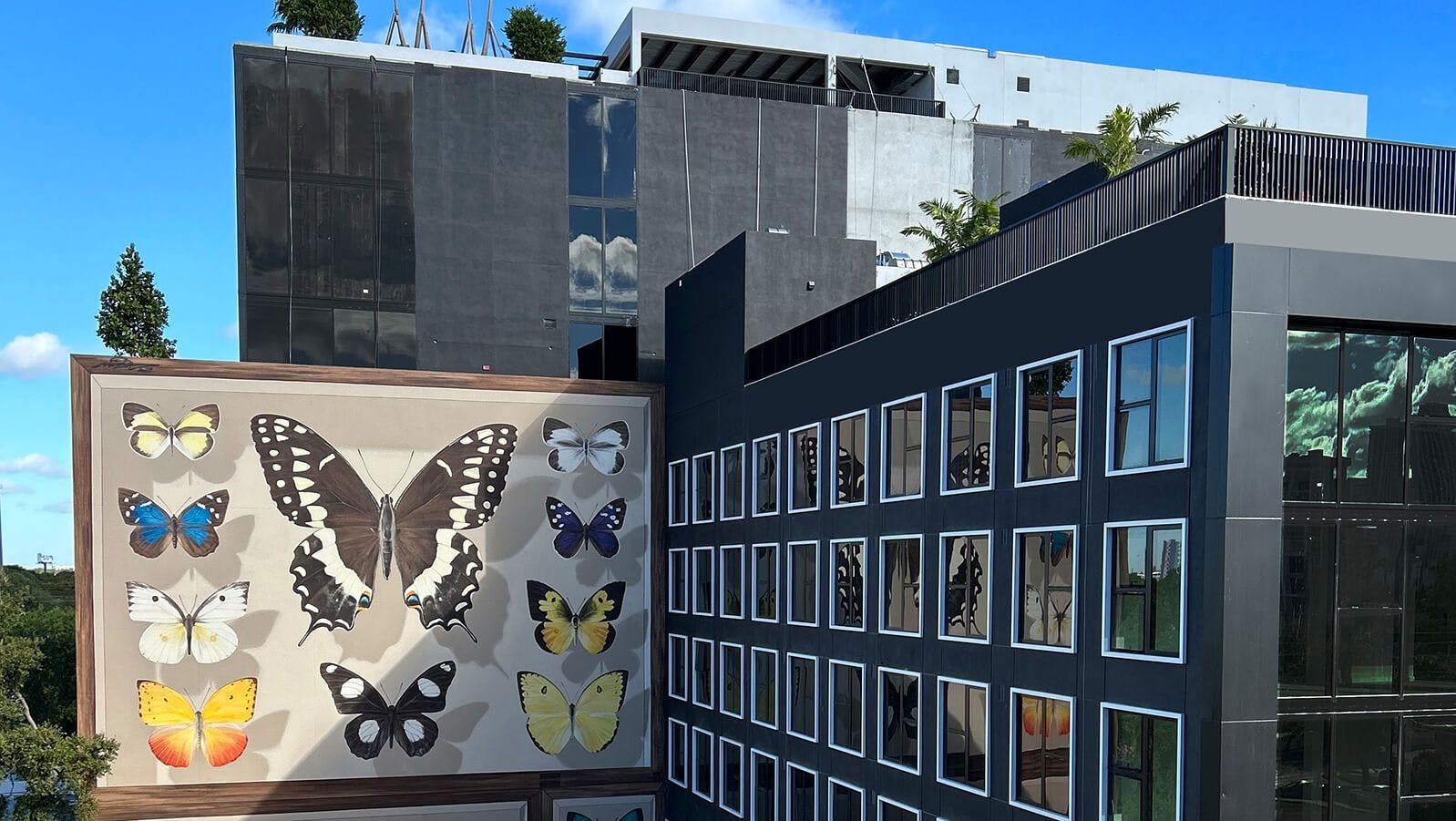 mural of butterfly on Wynd 27 & 28